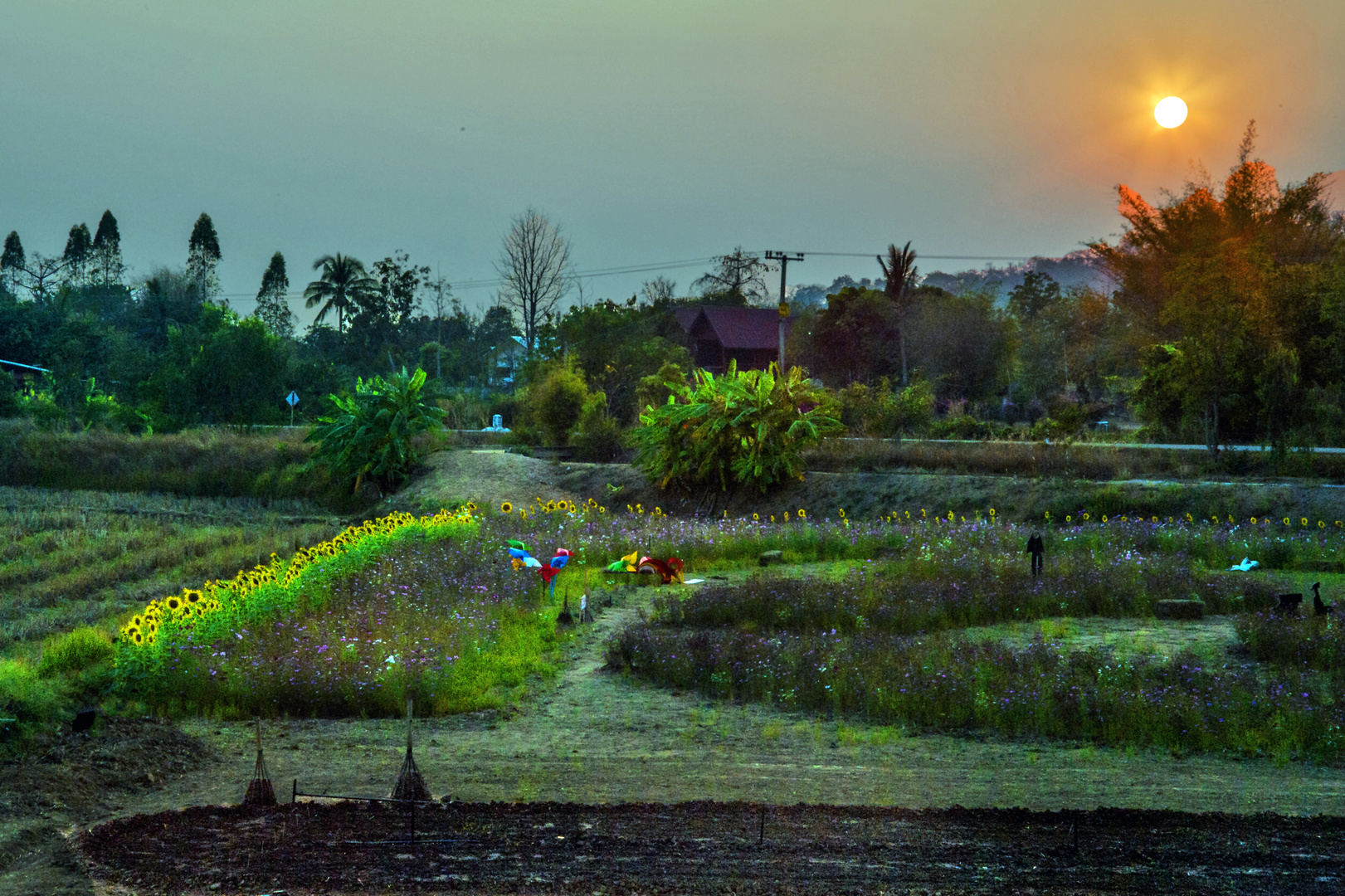 Sunset in Ubonrat