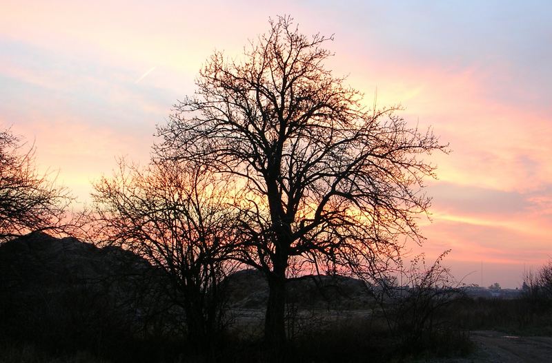 sunset in Velké Zbozí