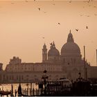 [ sunset in venice ]