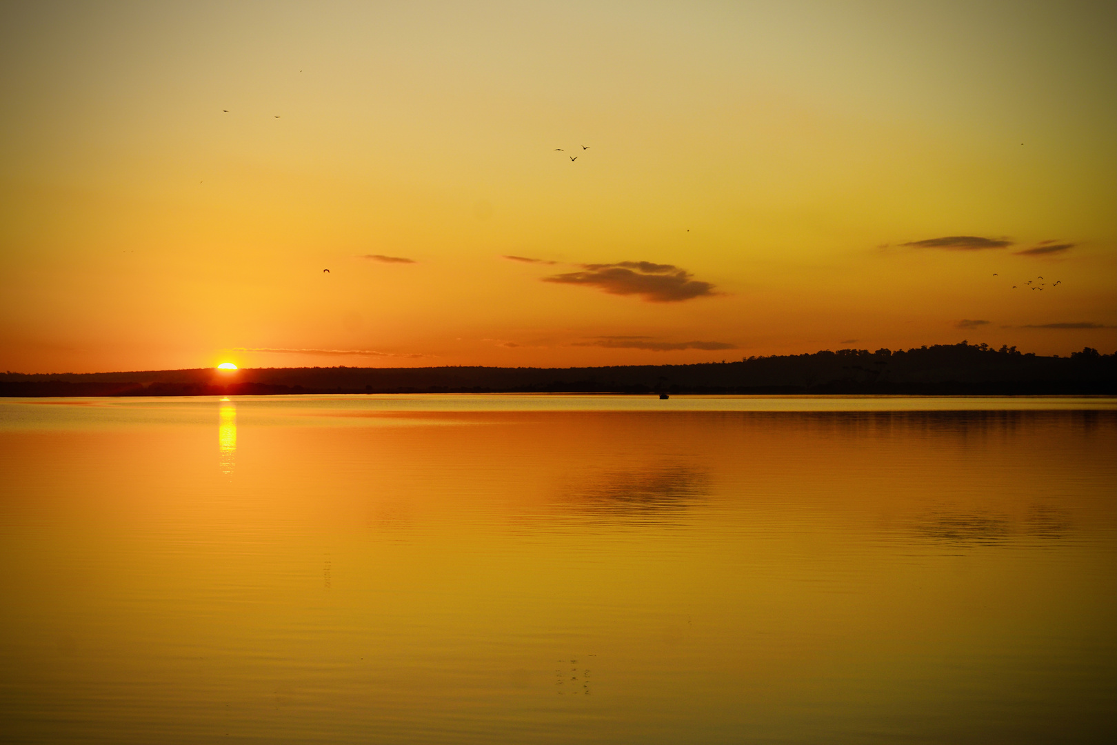 Sunset in Victoria 