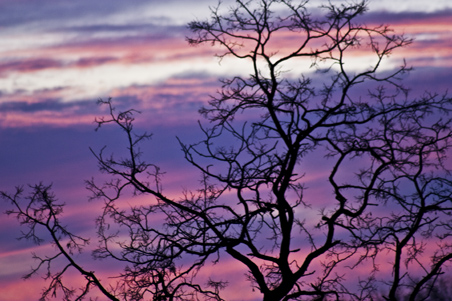 Sunset in Virginia