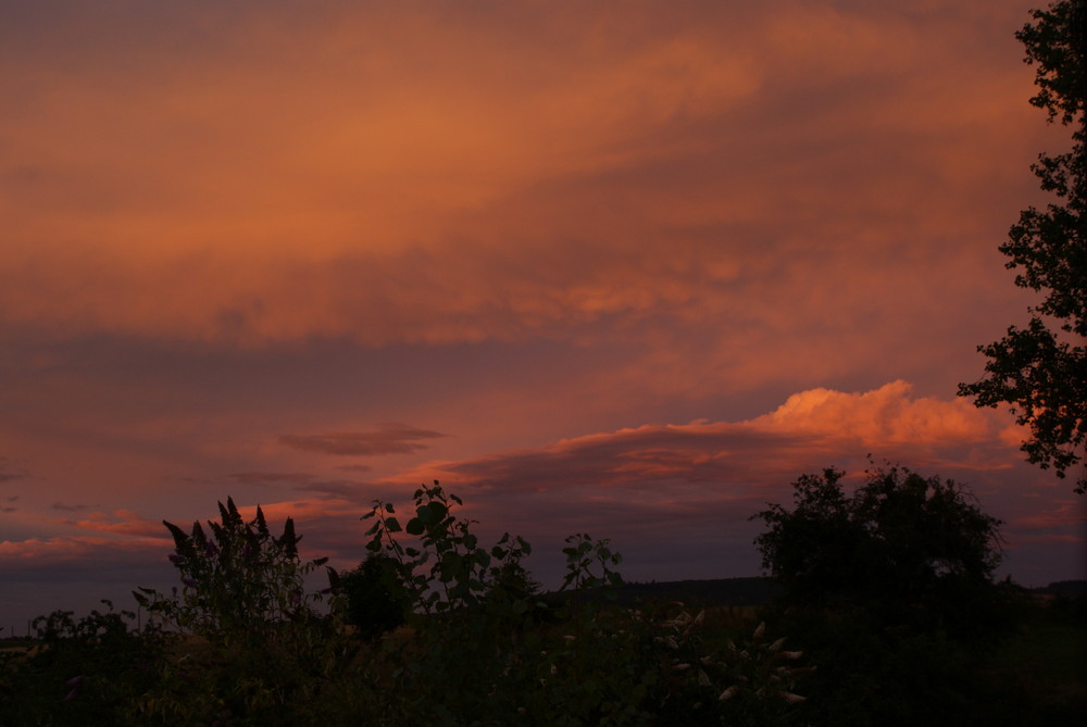 Sunset in Weinsheim 2