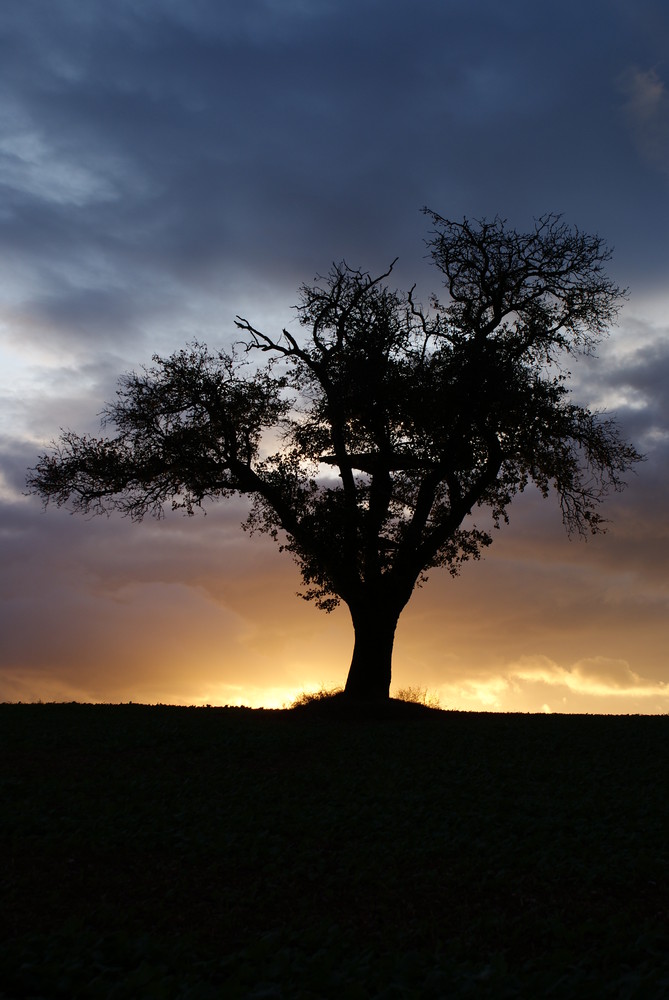 Sunset in Weinsheim 3