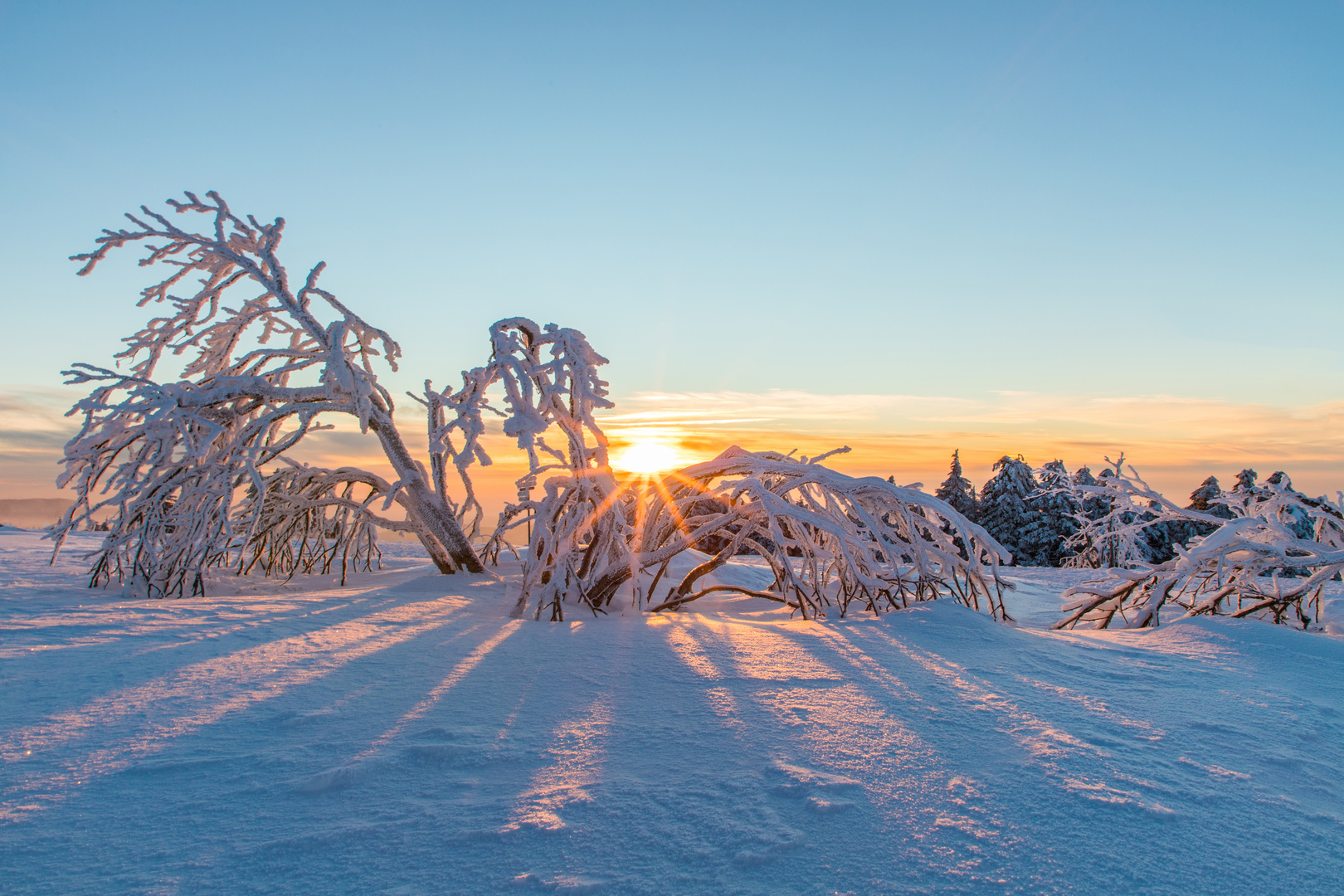 Sunset in winter wonderland