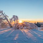 Sunset in winter wonderland