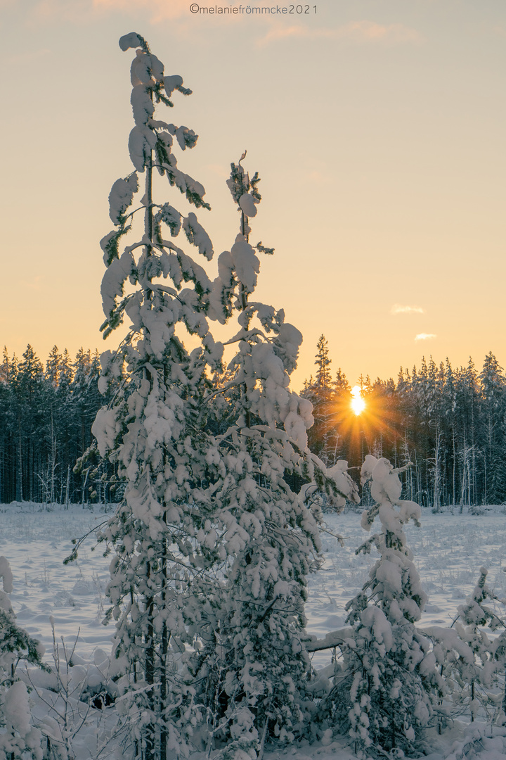 Sunset in Winter Wonderland