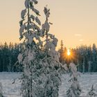 Sunset in Winter Wonderland