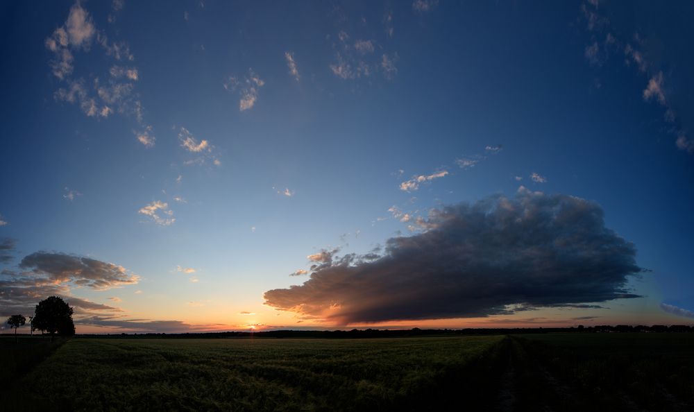 sunset Isenbüttel  -14mm Pano -