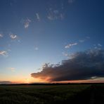 sunset Isenbüttel  -14mm Pano -