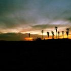 sunset jericoacoara,brasil