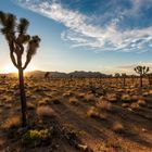 Sunset @ Joshua Tree N.P.