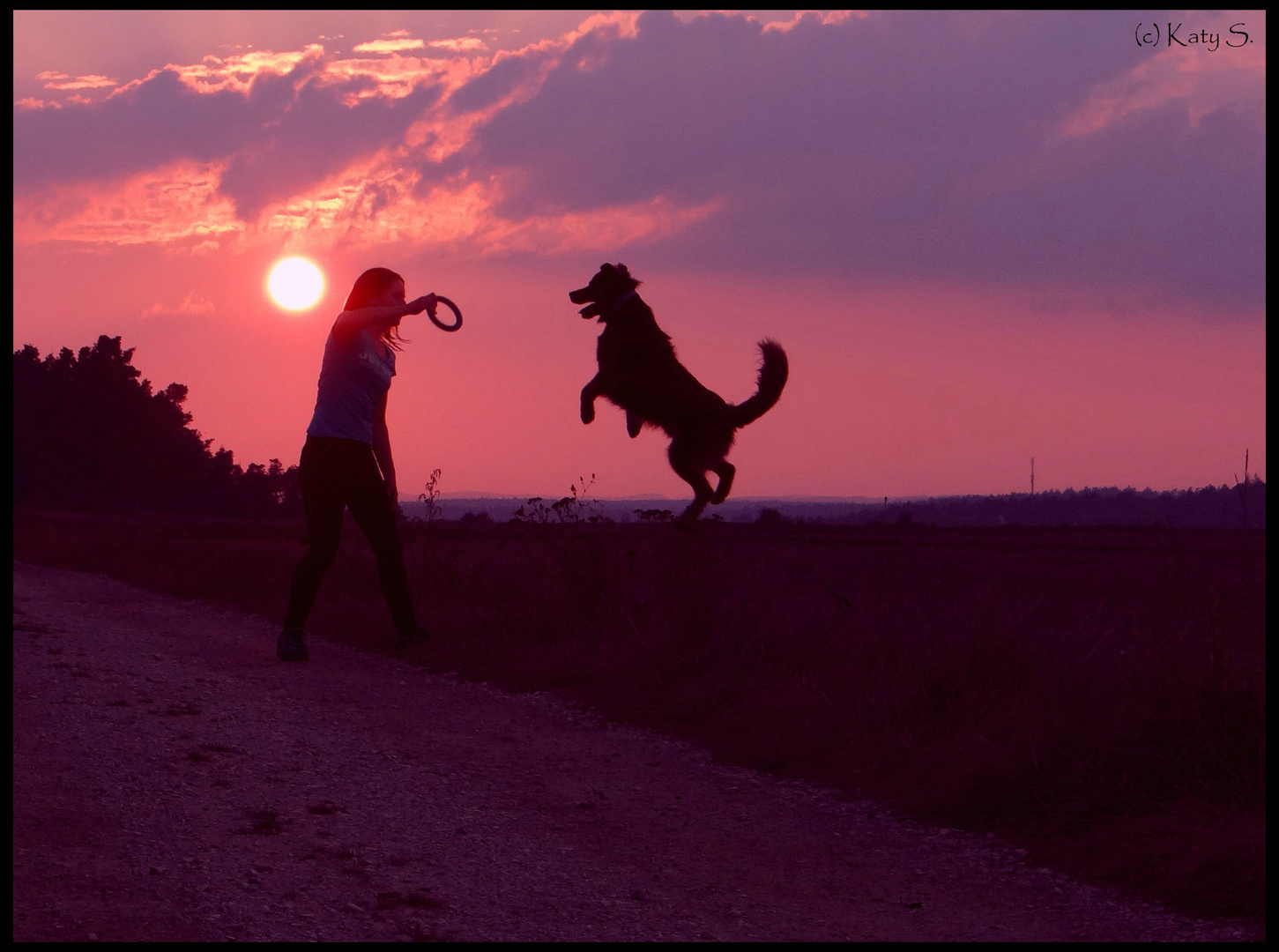 *** Sunset Jumper ***