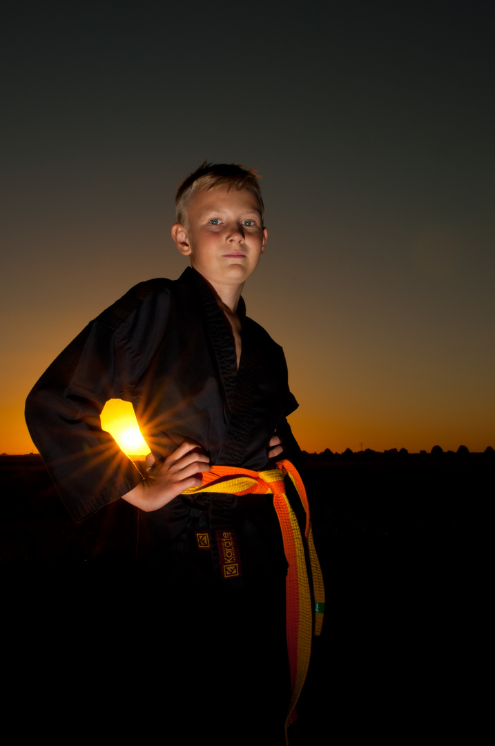 Sunset Karateka