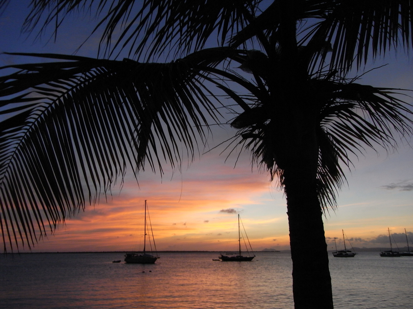 Sunset karibisch