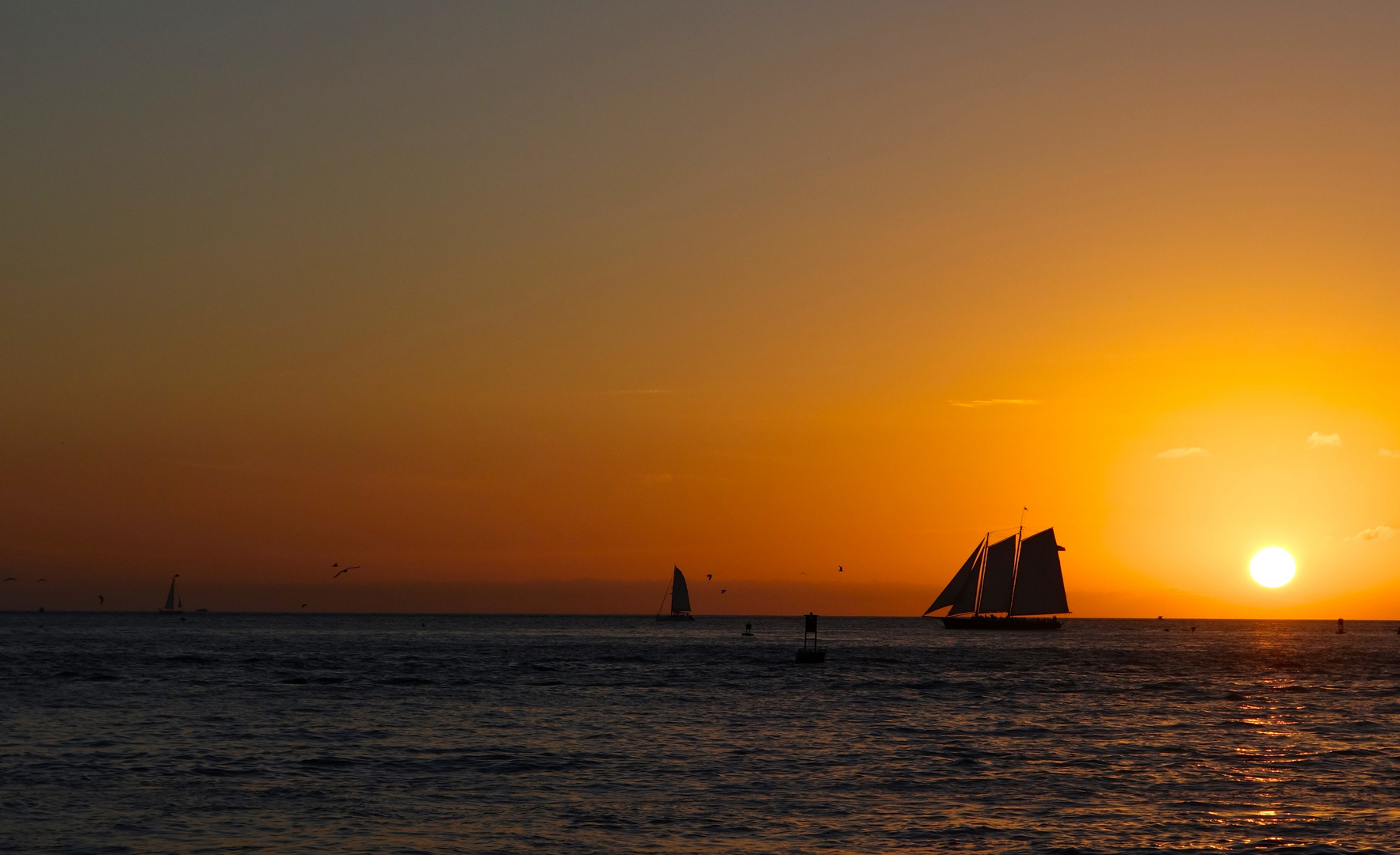 Sunset - Key West