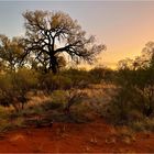 Sunset / Kings Creek Station