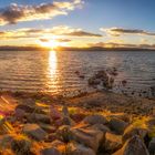 Sunset Lake Taupo