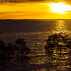 Sunset, Lameroo Beach II