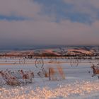 Sunset light in Idaho in January