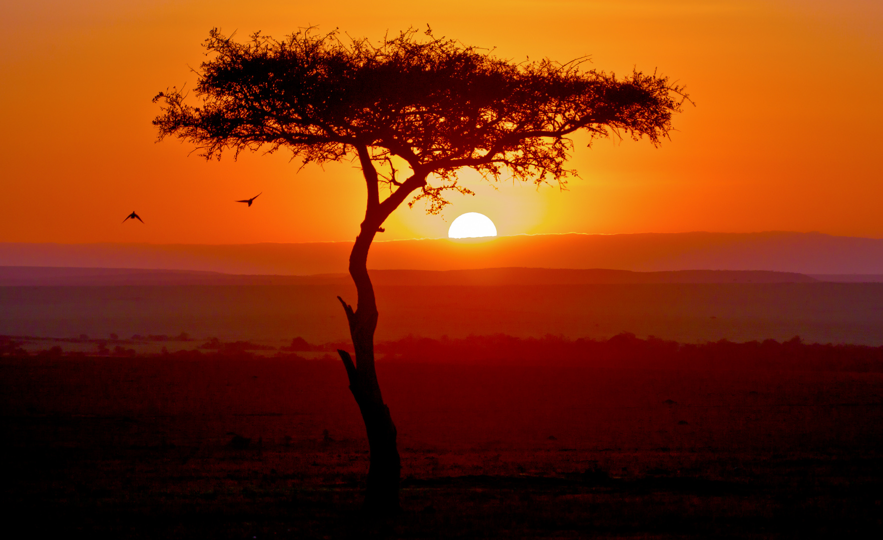 Sunset Maasai Mara