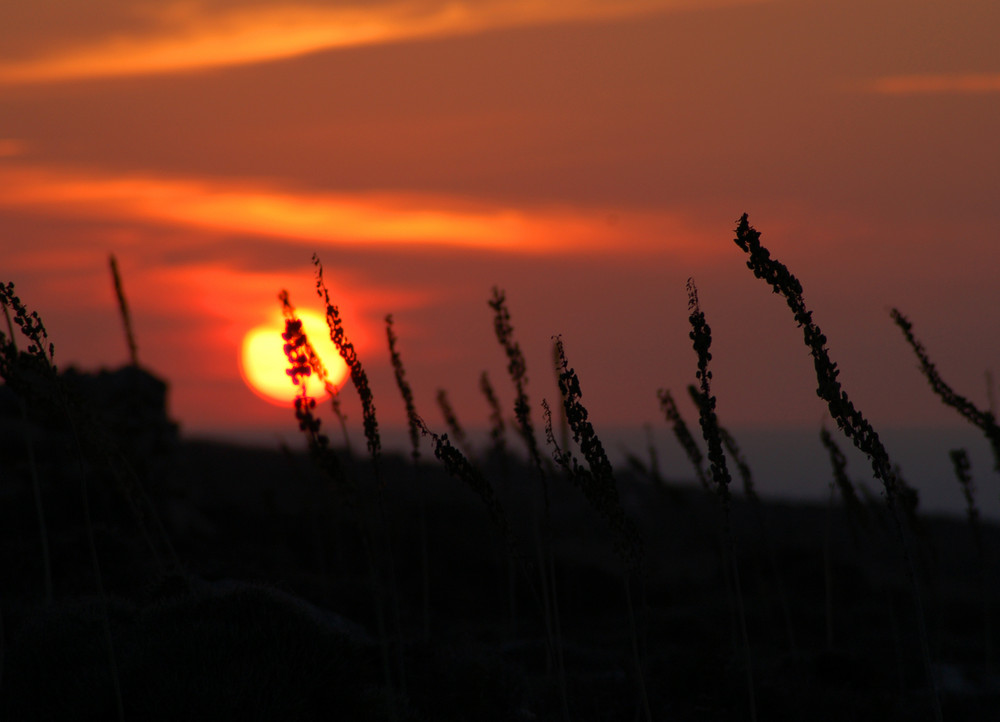 Sunset Malta - die zweite