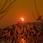 Sunset Marienburg 