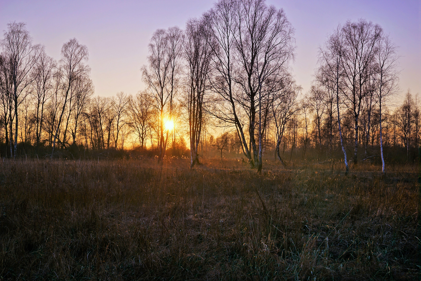 sunset mertinger höll 