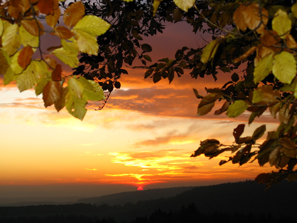 Sunset mit Herbstblättern