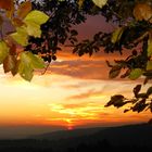 Sunset mit Herbstblättern