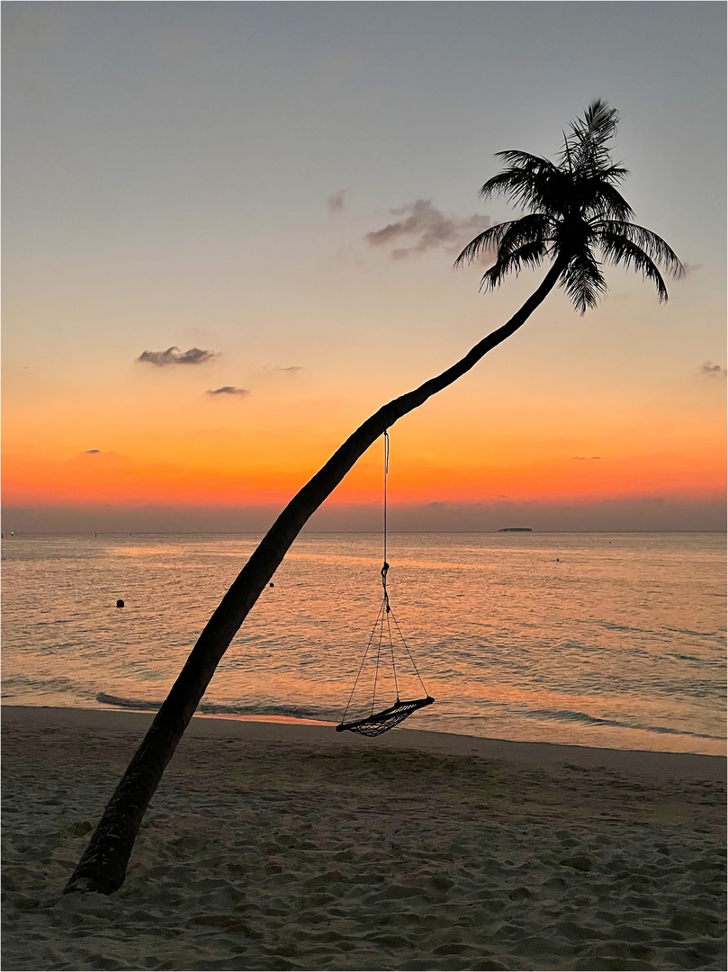 Sunset mit Palme auf Meerufenfushi