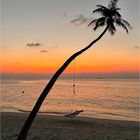 Sunset mit Palme auf Meerufenfushi