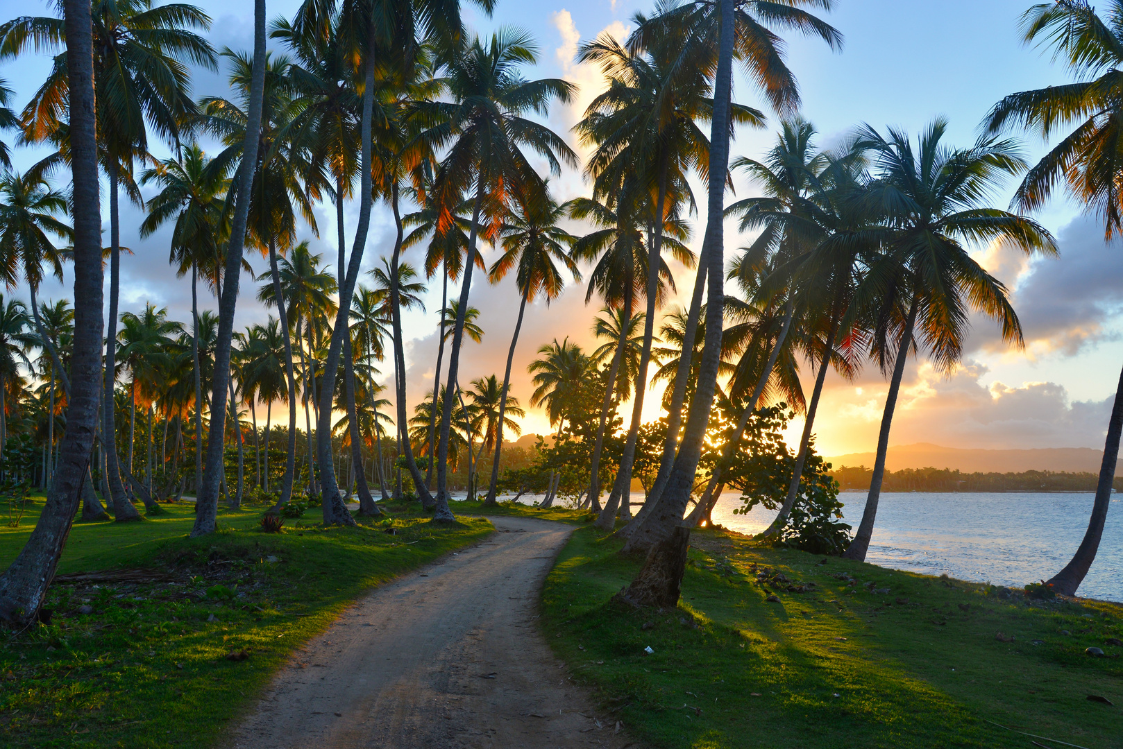 Sunset mit Palmen Samana Dom Rep.