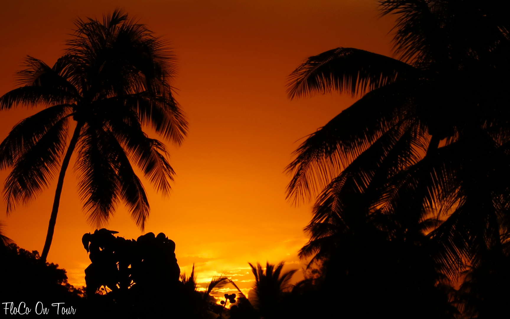 Sunset Moorea