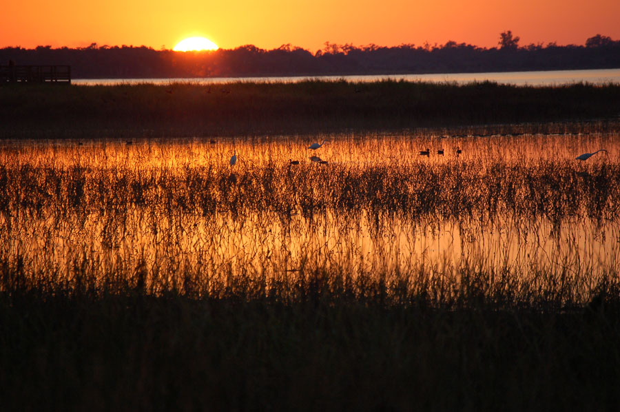 Sunset - Myakka Lake