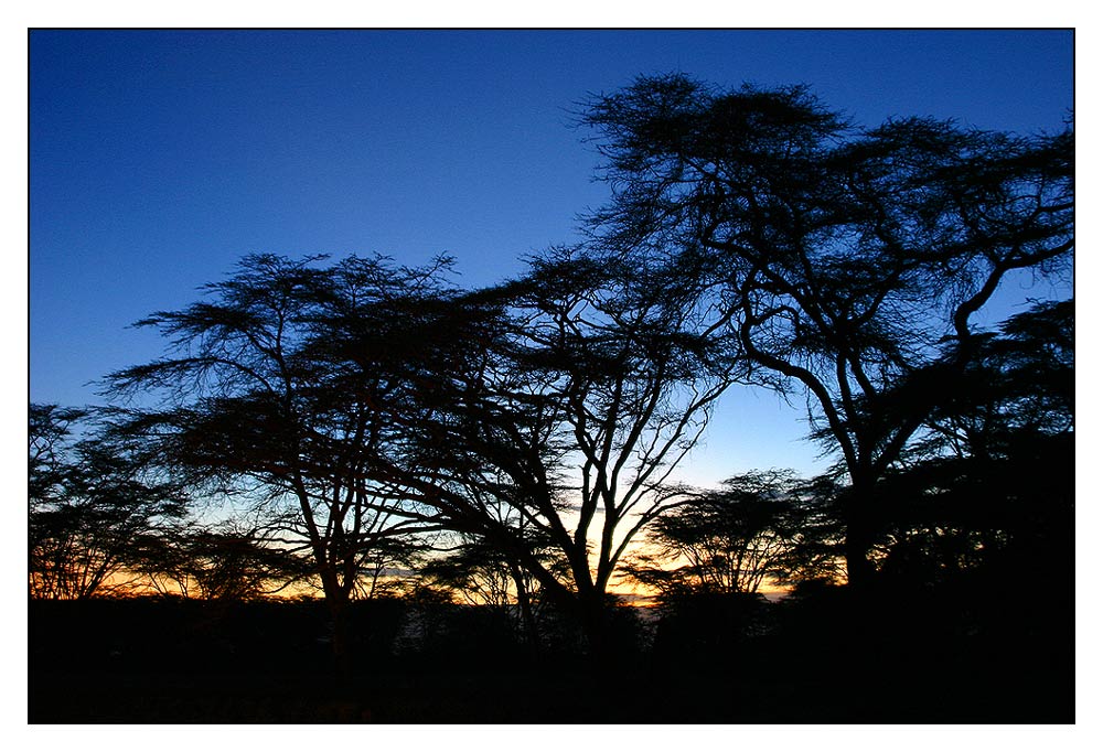 Sunset Naivasha