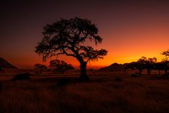 ~ SUNSET NAMIBIA ~