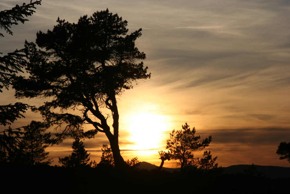 Sunset near Dunrobin