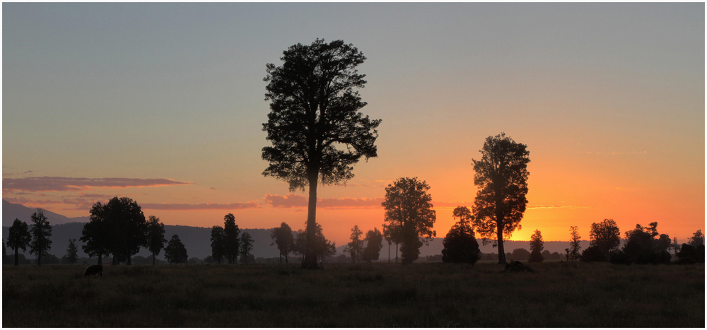 Sunset near Lake Matheson