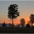 Sunset near Lake Matheson