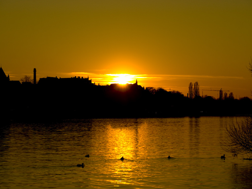 Sunset Neckar in Heidelberg