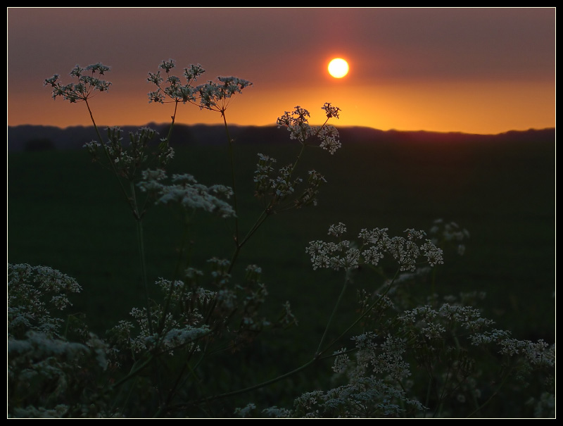 Sunset Nummer 1254