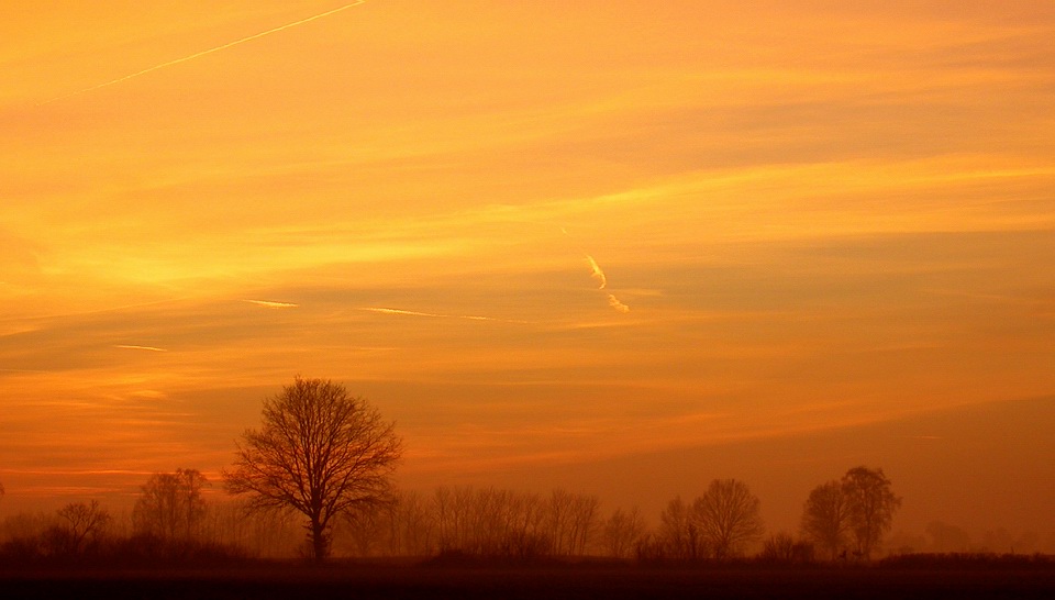 Sunset - oder gib mir mal die Schere