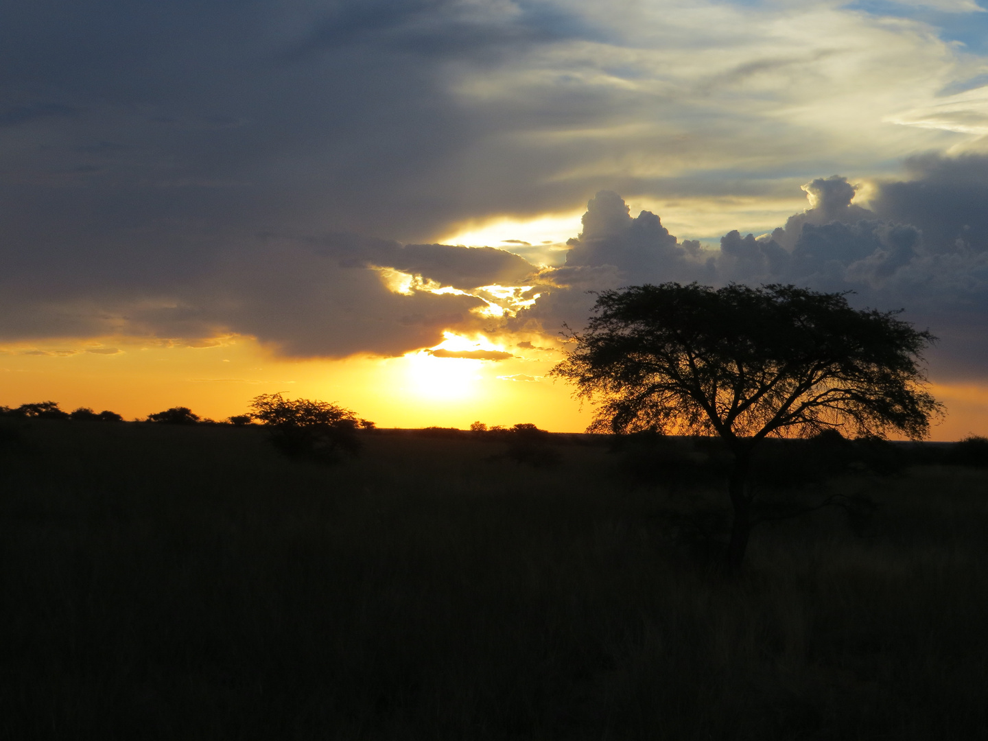 Sunset of Tswalu/Kalahari South Africa