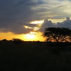 Sunset of Tswalu/Kalahari South Africa