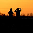 Sunset on a hill in Berlin