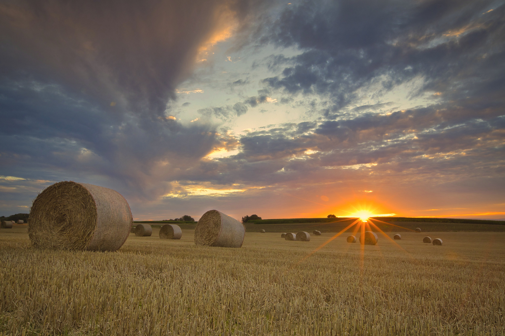 Sunset on a wheat field