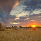 Sunset on a wheat field