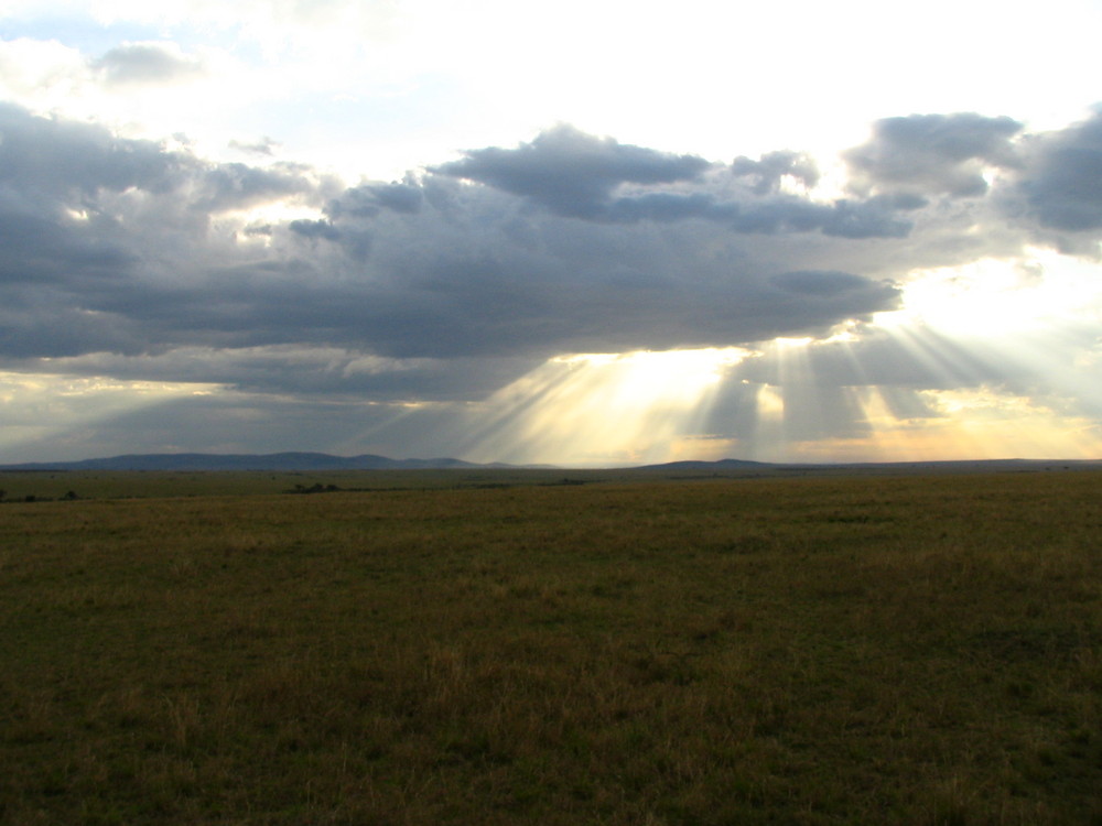 Sunset on African plains