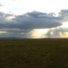 Sunset on African plains