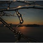 Sunset on Ice [3]